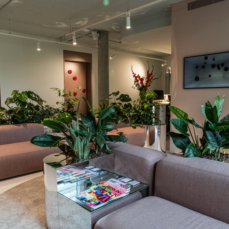 studio dental wartezimmer neu isenburg 4
